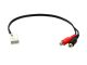 Connects2 CT29BM03 AUX In - RCA for BMW 5 7 X3 X5 Z4 